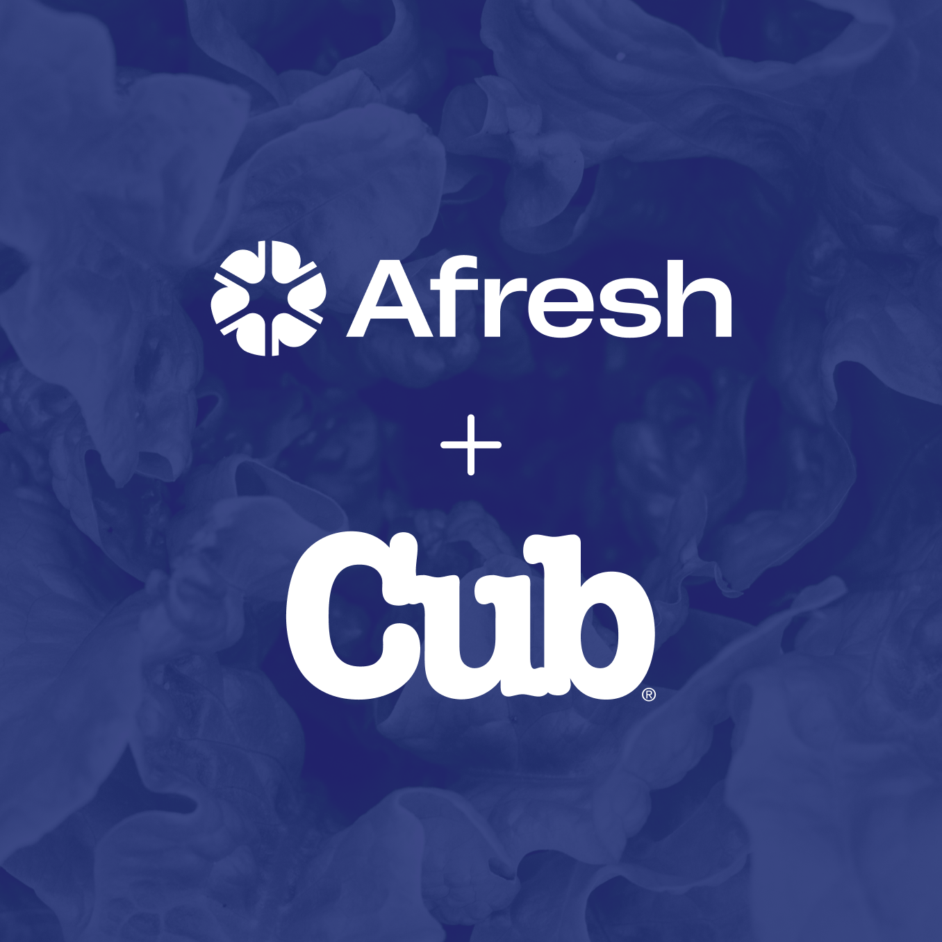 Afresh + Cub